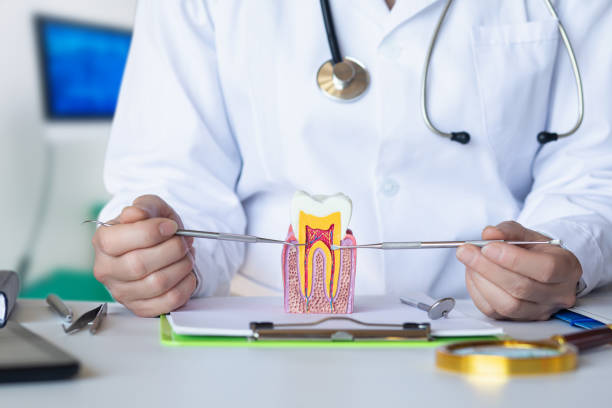 Best Emergency Broken Tooth Repair in Cannon Af, NM